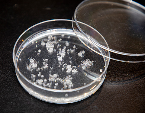 クリスタルサイエンス