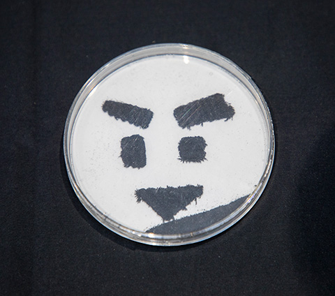 じしゃくでマジック