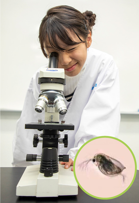 微生物をみてみよう！